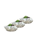 Mini Çiçek Saksı Küçük Sukulent Gümüş Kaktüs Saksısı 3lü Set Deniz Kabuğu Model